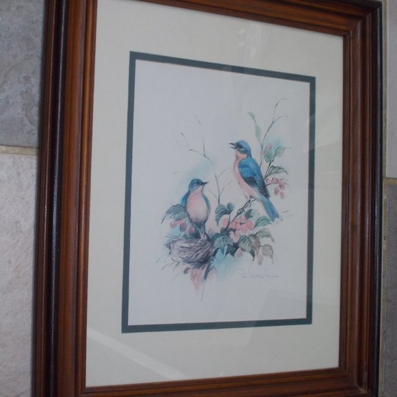Other - Gorgeous Bird print signed, matted & professionally framed in wood frame